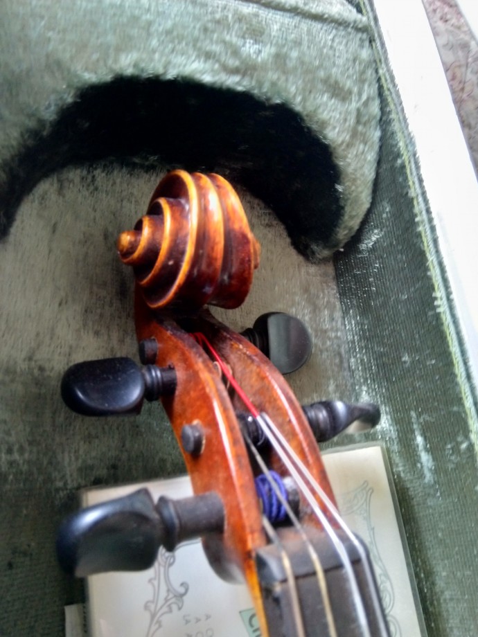 Schnecke einer Viola, auf der ich in mehreren Laien-Orchestern spielte